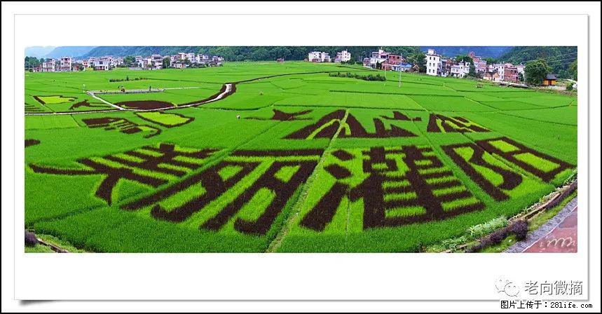 【春天,广西桂林灌阳县向您发出邀请!】开篇 - 游山玩水 - 汕头生活社区 - 汕头28生活网 st.28life.com