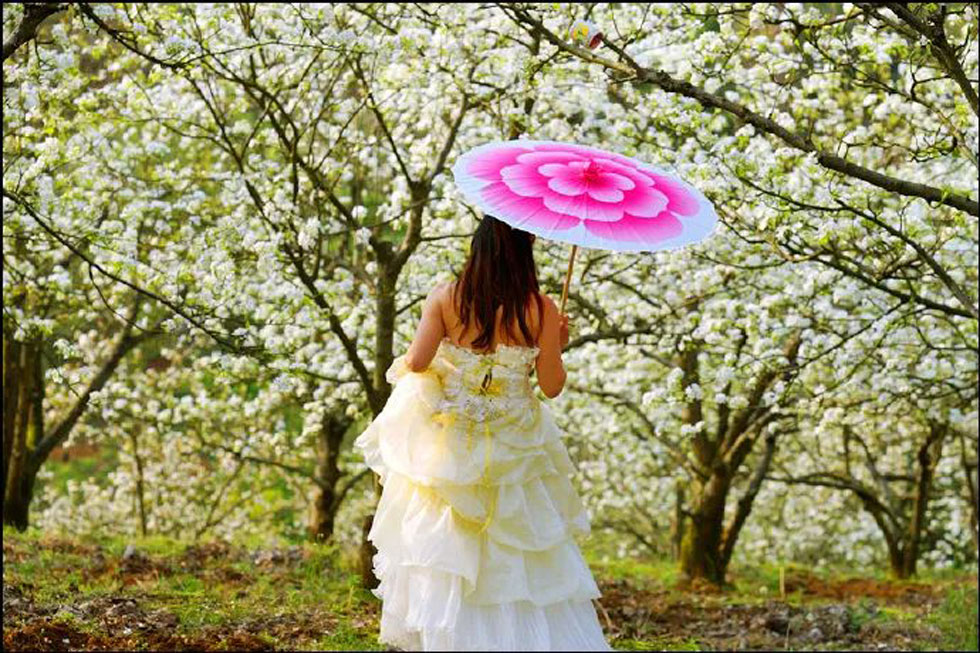 【春天,广西桂林灌阳县向您发出邀请!】我们在灌阳看梨花 - 游山玩水 - 汕头生活社区 - 汕头28生活网 st.28life.com