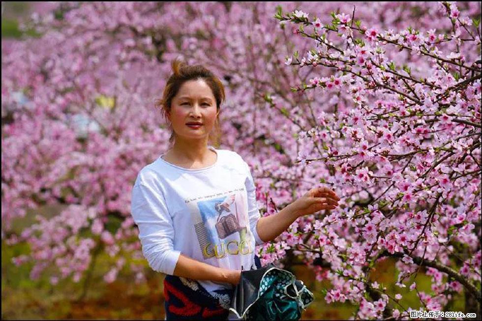 【春天,广西桂林灌阳县向您发出邀请!】官庄村有个醉美的桃花园 - 游山玩水 - 汕头生活社区 - 汕头28生活网 st.28life.com