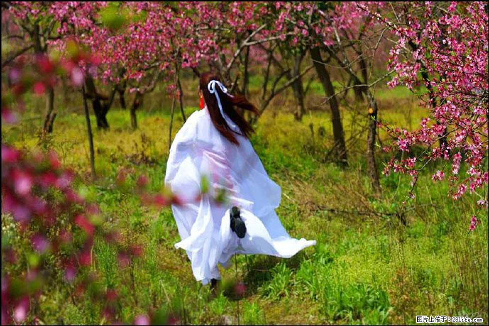 【春天,广西桂林灌阳县向您发出邀请!】官庄村有个醉美的桃花园 - 游山玩水 - 汕头生活社区 - 汕头28生活网 st.28life.com