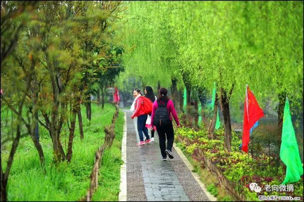 【春天,广西桂林灌阳县向您发出邀请!】江口老街又逢春 - 游山玩水 - 汕头生活社区 - 汕头28生活网 st.28life.com