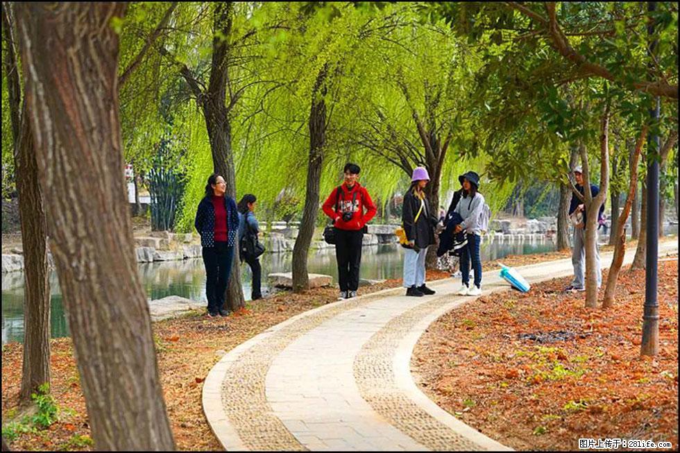 【春天,广西桂林灌阳县向您发出邀请!】江口老街又逢春 - 游山玩水 - 汕头生活社区 - 汕头28生活网 st.28life.com