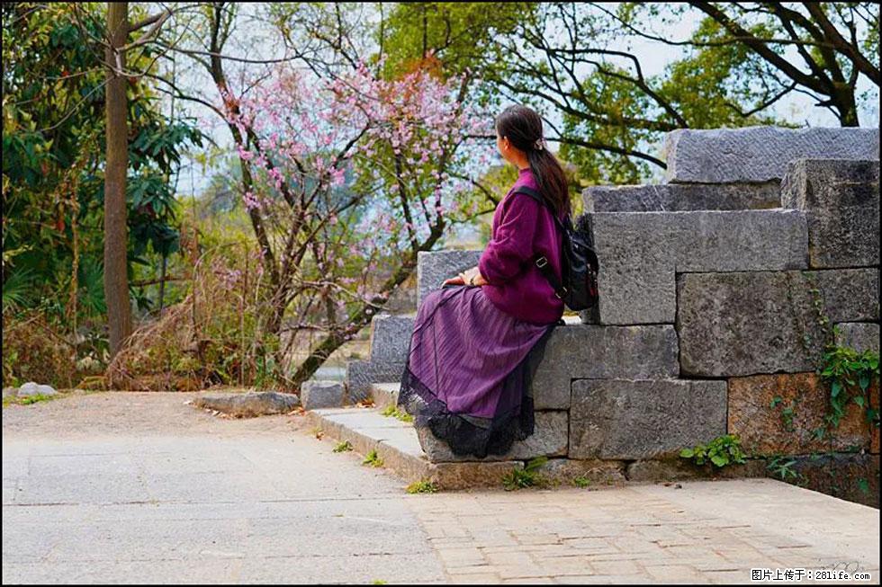 【春天,广西桂林灌阳县向您发出邀请!】江口老街又逢春 - 游山玩水 - 汕头生活社区 - 汕头28生活网 st.28life.com