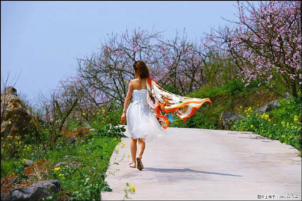 【春天,广西桂林灌阳县向您发出邀请!】望月岭上桃花开 - 游山玩水 - 汕头生活社区 - 汕头28生活网 st.28life.com