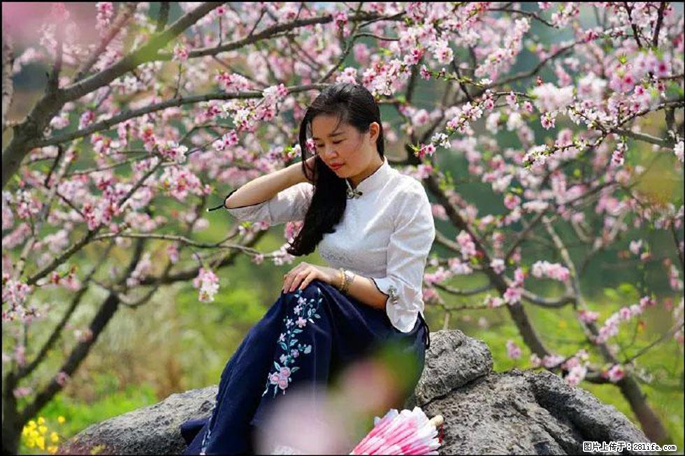 【春天,广西桂林灌阳县向您发出邀请!】望月岭上桃花开 - 游山玩水 - 汕头生活社区 - 汕头28生活网 st.28life.com