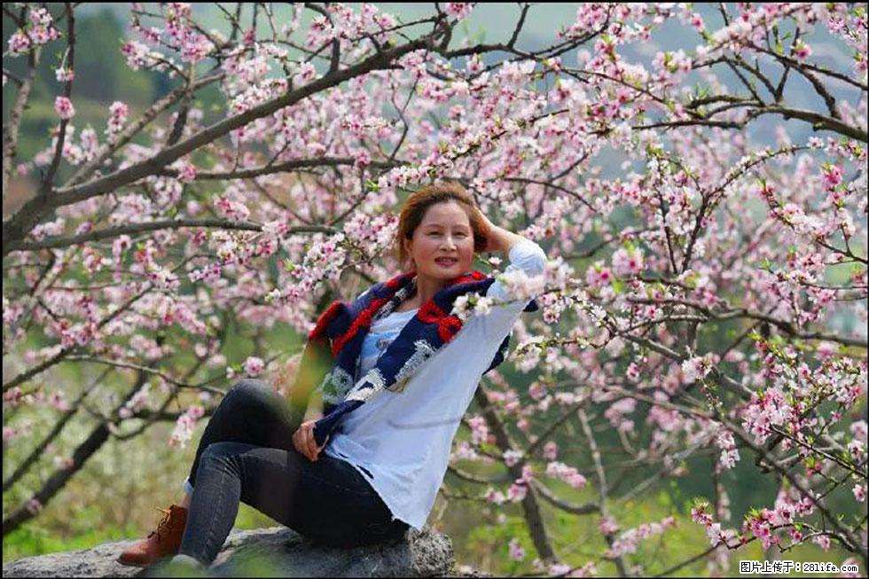 【春天,广西桂林灌阳县向您发出邀请!】望月岭上桃花开 - 游山玩水 - 汕头生活社区 - 汕头28生活网 st.28life.com