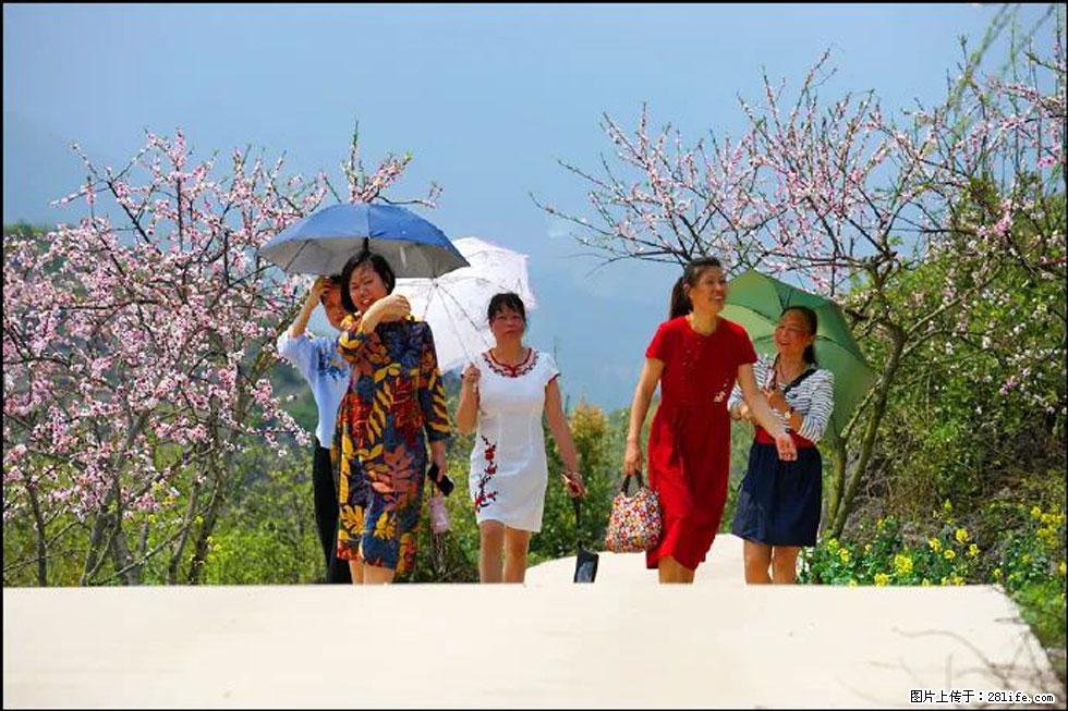【春天,广西桂林灌阳县向您发出邀请!】望月岭上桃花开 - 游山玩水 - 汕头生活社区 - 汕头28生活网 st.28life.com