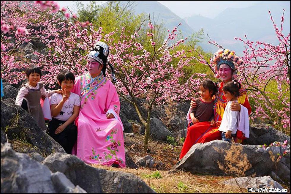 【春天,广西桂林灌阳县向您发出邀请!】望月岭上桃花开 - 游山玩水 - 汕头生活社区 - 汕头28生活网 st.28life.com
