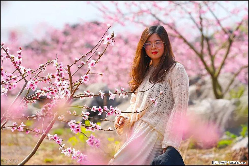 【春天,广西桂林灌阳县向您发出邀请!】望月岭上桃花开 - 游山玩水 - 汕头生活社区 - 汕头28生活网 st.28life.com