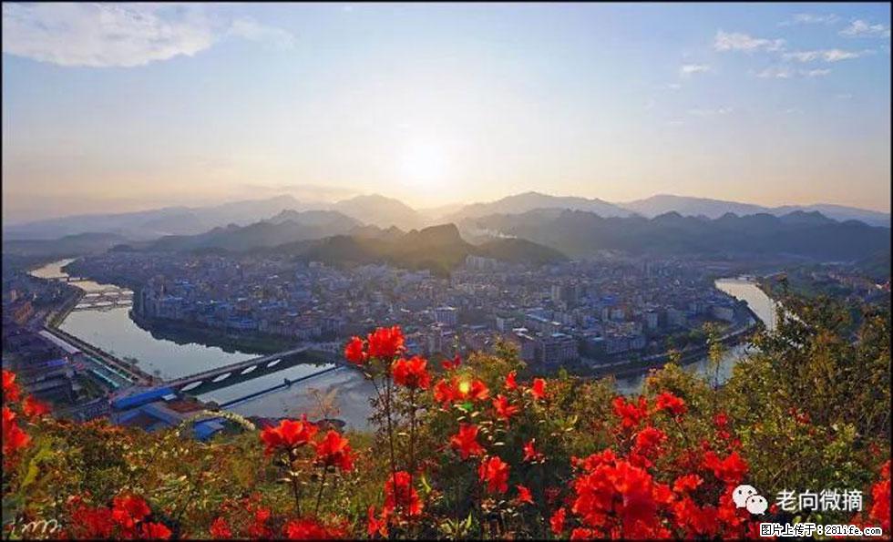 【春天,广西桂林灌阳县向您发出邀请!】登麒麟山,相约映山红 - 游山玩水 - 汕头生活社区 - 汕头28生活网 st.28life.com