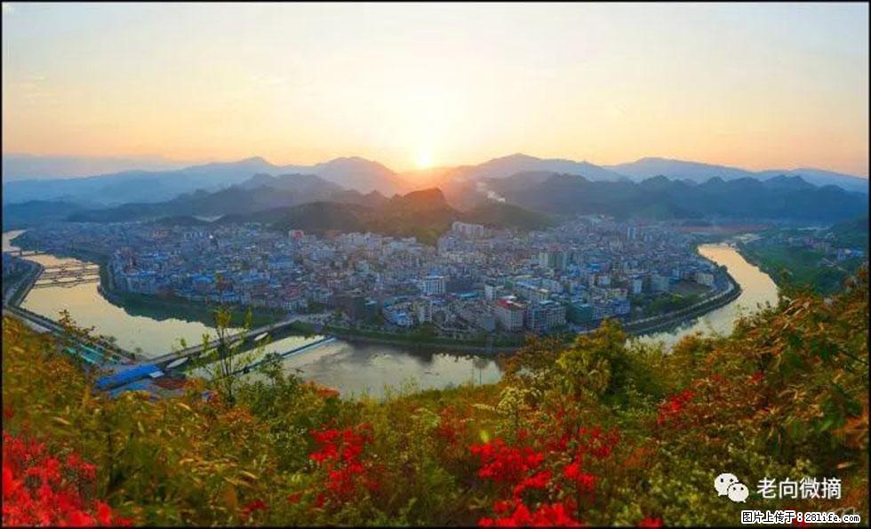 【春天,广西桂林灌阳县向您发出邀请!】登麒麟山,相约映山红 - 游山玩水 - 汕头生活社区 - 汕头28生活网 st.28life.com