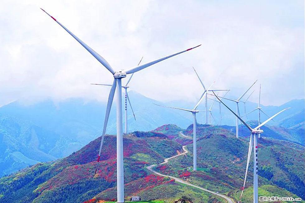 【春天,广西桂林灌阳县向您发出邀请!】春木界上映山红 - 游山玩水 - 汕头生活社区 - 汕头28生活网 st.28life.com