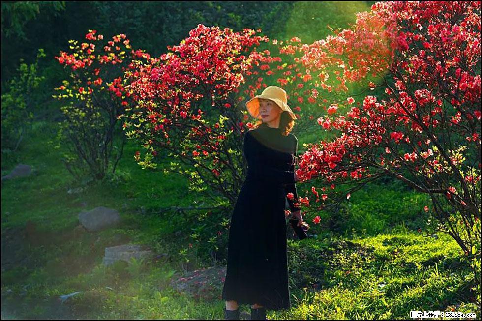 【春天,广西桂林灌阳县向您发出邀请!】春木界上映山红 - 游山玩水 - 汕头生活社区 - 汕头28生活网 st.28life.com