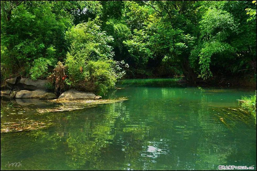 【春天，广西桂林灌阳县向您发出邀请！】如梦似幻莲溪庐 - 游山玩水 - 汕头生活社区 - 汕头28生活网 st.28life.com