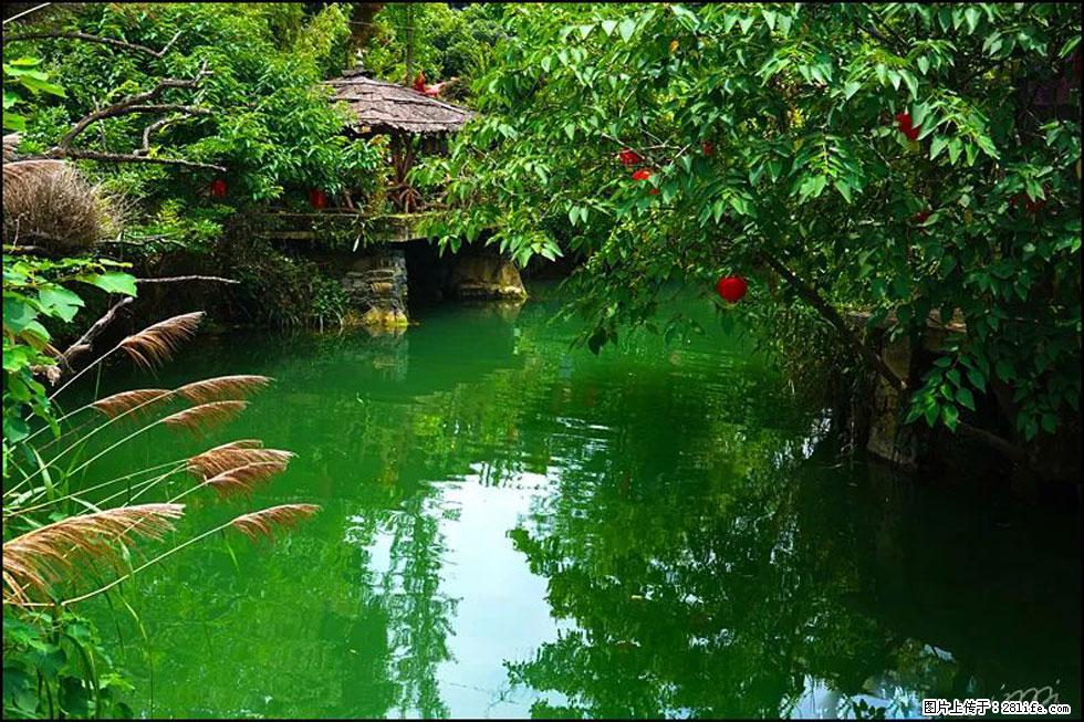 【春天，广西桂林灌阳县向您发出邀请！】如梦似幻莲溪庐 - 游山玩水 - 汕头生活社区 - 汕头28生活网 st.28life.com