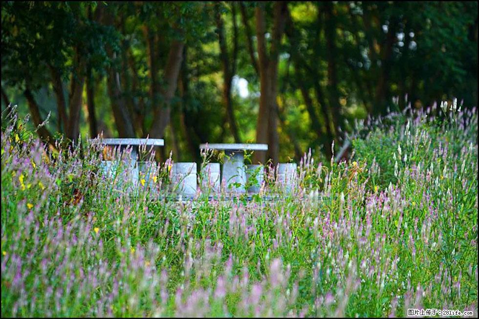 【春天,广西桂林灌阳县向您发出邀请!】熊家寨湿地公园 - 游山玩水 - 汕头生活社区 - 汕头28生活网 st.28life.com