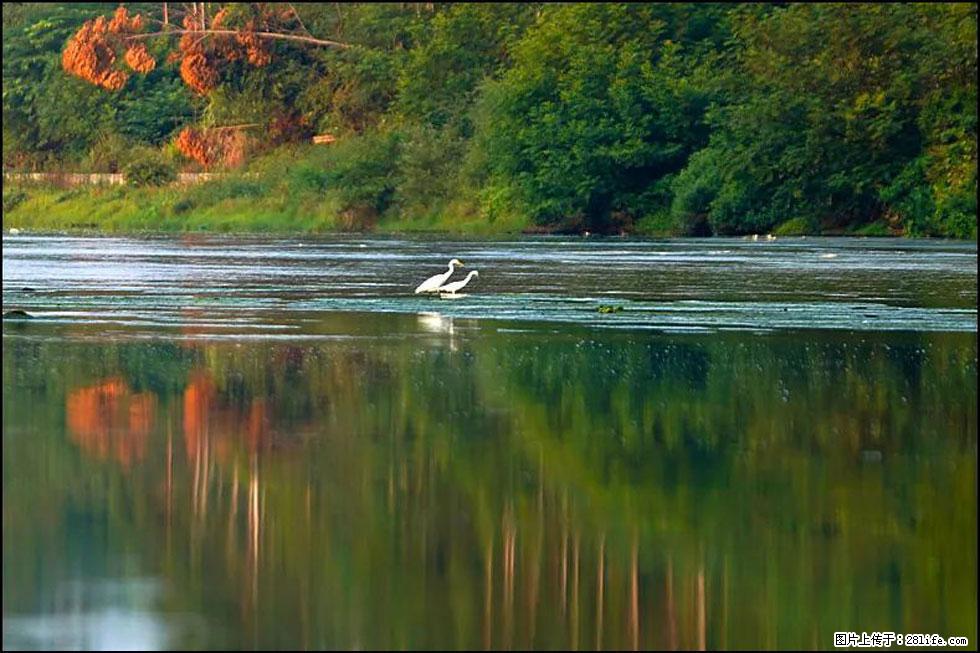【春天,广西桂林灌阳县向您发出邀请!】熊家寨湿地公园 - 游山玩水 - 汕头生活社区 - 汕头28生活网 st.28life.com