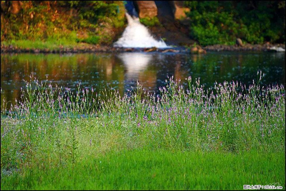 【春天,广西桂林灌阳县向您发出邀请!】熊家寨湿地公园 - 游山玩水 - 汕头生活社区 - 汕头28生活网 st.28life.com