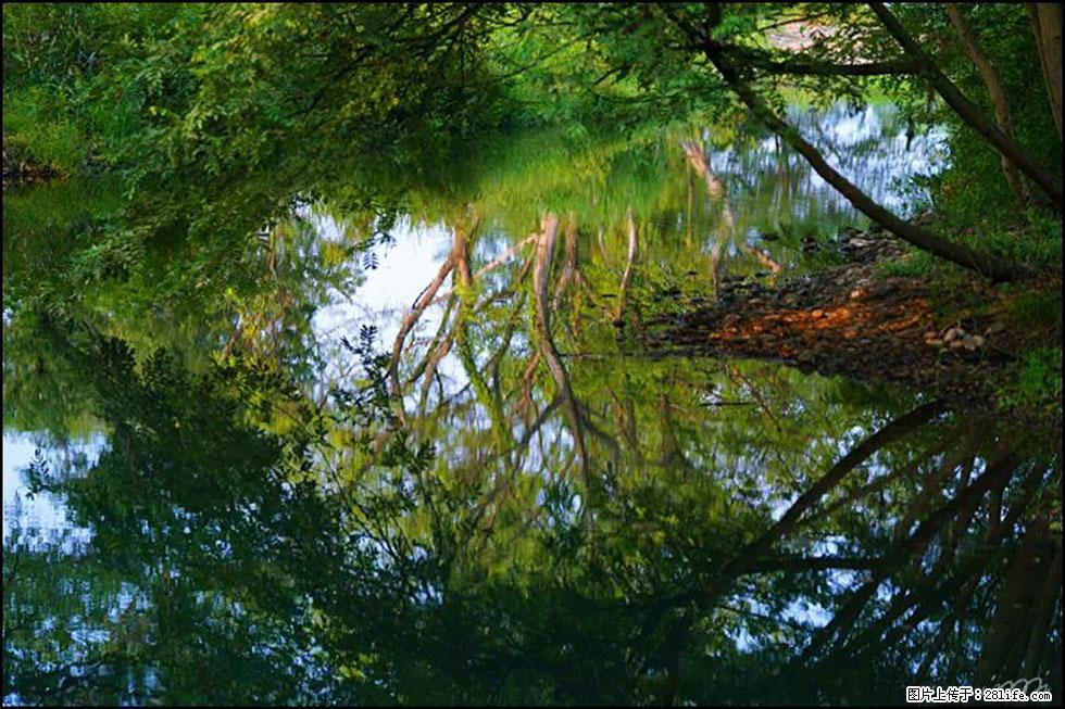 【春天,广西桂林灌阳县向您发出邀请!】熊家寨湿地公园 - 游山玩水 - 汕头生活社区 - 汕头28生活网 st.28life.com