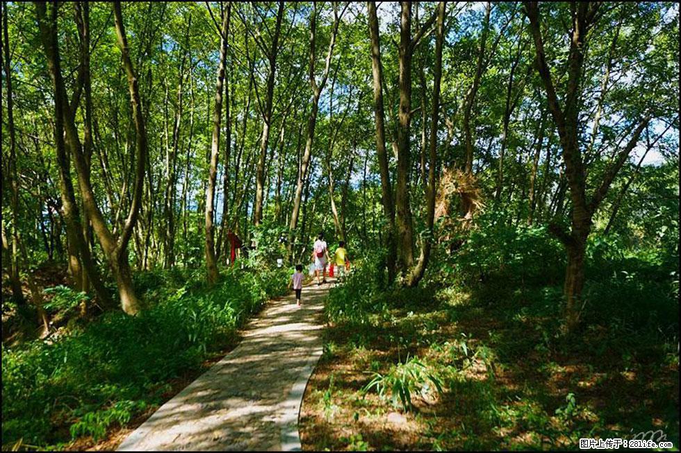 【春天,广西桂林灌阳县向您发出邀请!】熊家寨湿地公园 - 游山玩水 - 汕头生活社区 - 汕头28生活网 st.28life.com