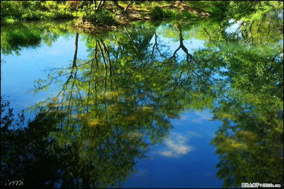 【春天,广西桂林灌阳县向您发出邀请!】熊家寨湿地公园 - 游山玩水 - 汕头生活社区 - 汕头28生活网 st.28life.com