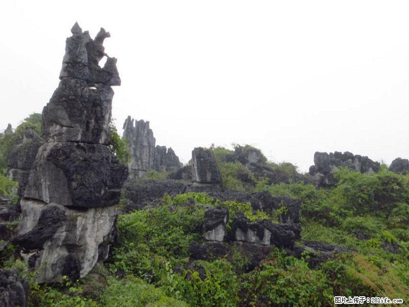 桂林旅游名城景点:灌阳文市石林 - 游山玩水 - 汕头生活社区 - 汕头28生活网 st.28life.com