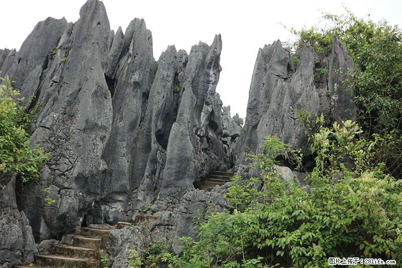 桂林旅游名城景点:灌阳文市石林 - 游山玩水 - 汕头生活社区 - 汕头28生活网 st.28life.com