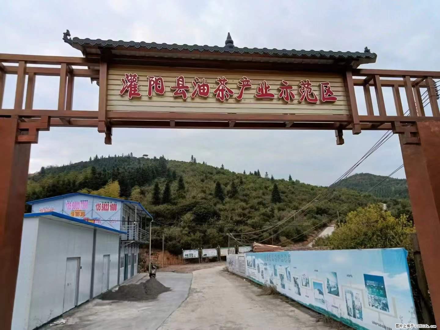 【灌阳县油茶产业示范区】一个有着充实的精神生活的人，对待身外之物自会有一种淡泊的态度 - 美食天地 - 汕头生活社区 - 汕头28生活网 st.28life.com