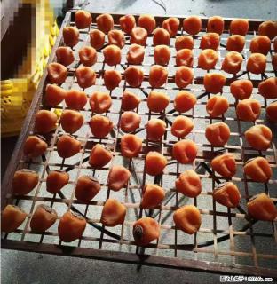 广西桂林平乐桥亭【柿饼之乡】2025年纯手工制作、无任何添加剂的第一批柿饼准备上市了，欢迎联系订购！ - 汕头28生活网 st.28life.com