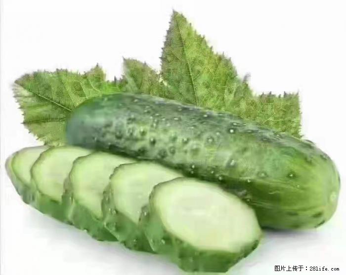 【生活小常识】吃黄瓜的好处 - 生活百科 - 汕头生活社区 - 汕头28生活网 st.28life.com