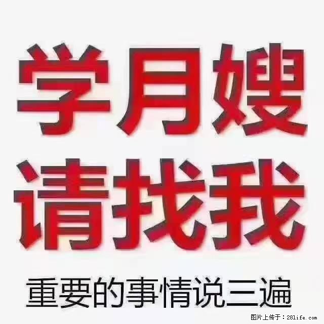 【招聘】月嫂,上海徐汇区 - 职场交流 - 汕头生活社区 - 汕头28生活网 st.28life.com