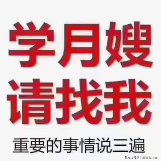 【招聘】月嫂，上海徐汇区 - 汕头28生活网 st.28life.com