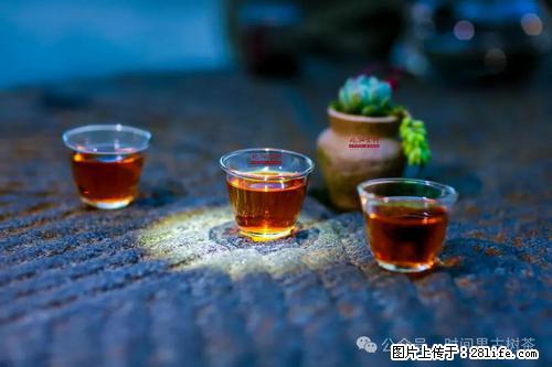 时间果百年古树2025年春红茶 - 购物交流 - 汕头生活社区 - 汕头28生活网 st.28life.com