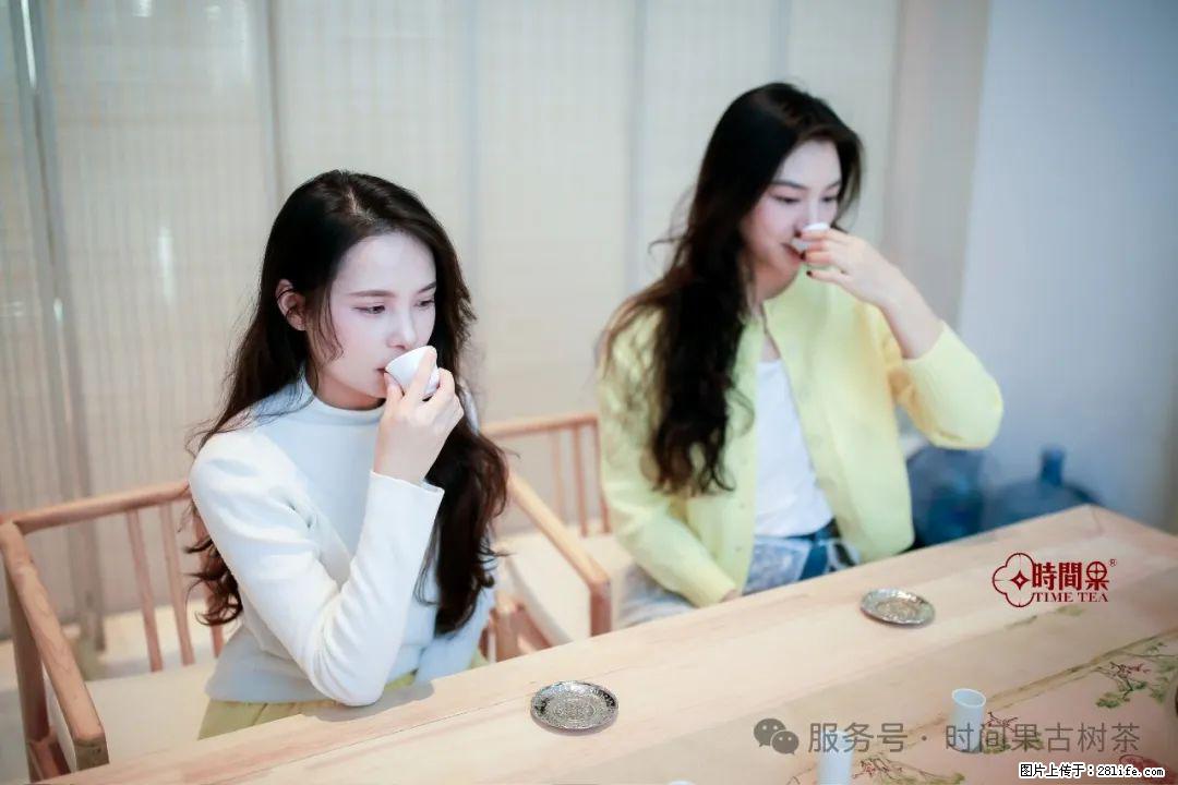 时间果百年古树龙珠普洱生茶 - 购物交流 - 汕头生活社区 - 汕头28生活网 st.28life.com