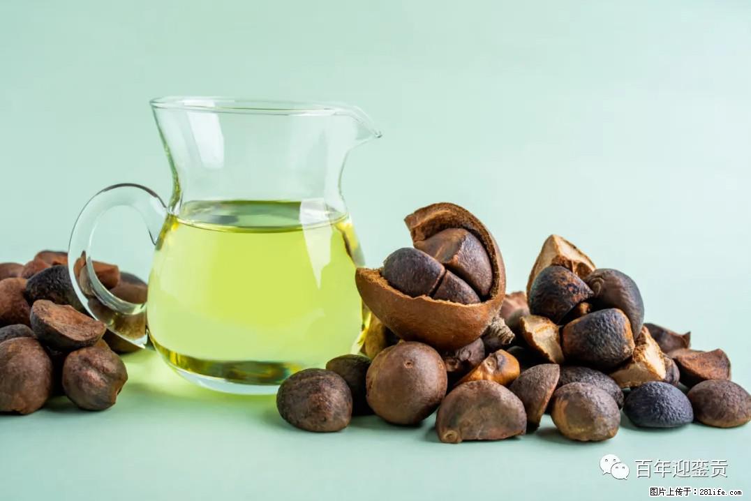 世界没有真相，只有认知，最好的食用油是中国的山茶油！ - 汕头生活资讯 - 汕头28生活网 st.28life.com