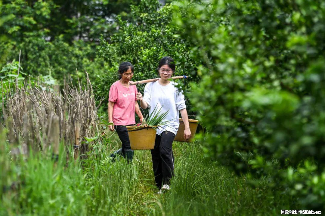 全网追的“扁担女孩”,找了一份暑假工,时薪12元 - 汕头生活资讯 - 汕头28生活网 st.28life.com