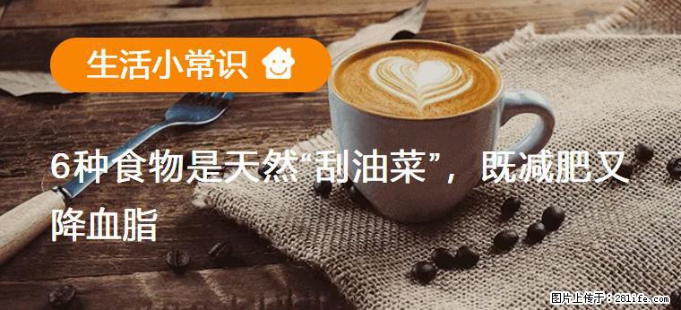 【生活小常识】6种食物是天然“刮油菜”,既减肥又降血脂 - 汕头生活资讯 - 汕头28生活网 st.28life.com