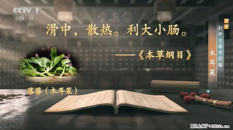 比牛奶补钙还厉害！凉血解毒、稳血糖...这菜冬天必吃，很多人却当草 - 汕头生活资讯 - 汕头28生活网 st.28life.com