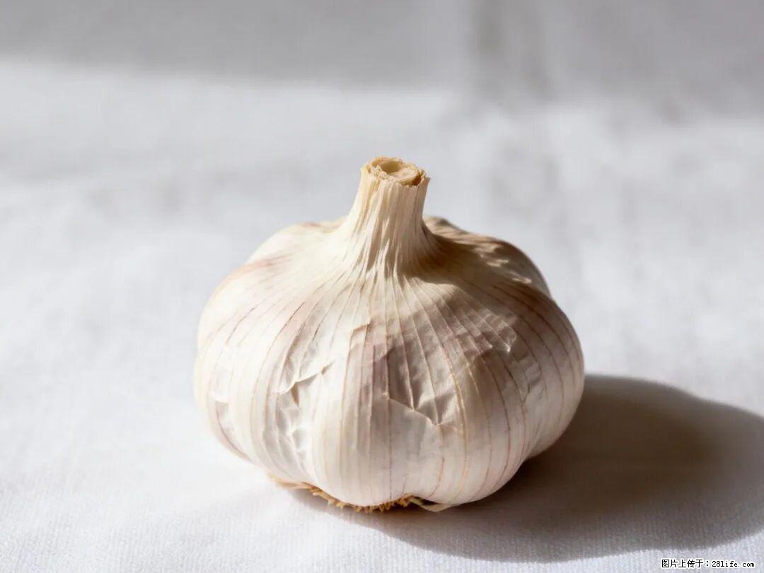 关于大蒜，除了“天然抗生素”，这4个谣言更该警惕! - 汕头生活资讯 - 汕头28生活网 st.28life.com