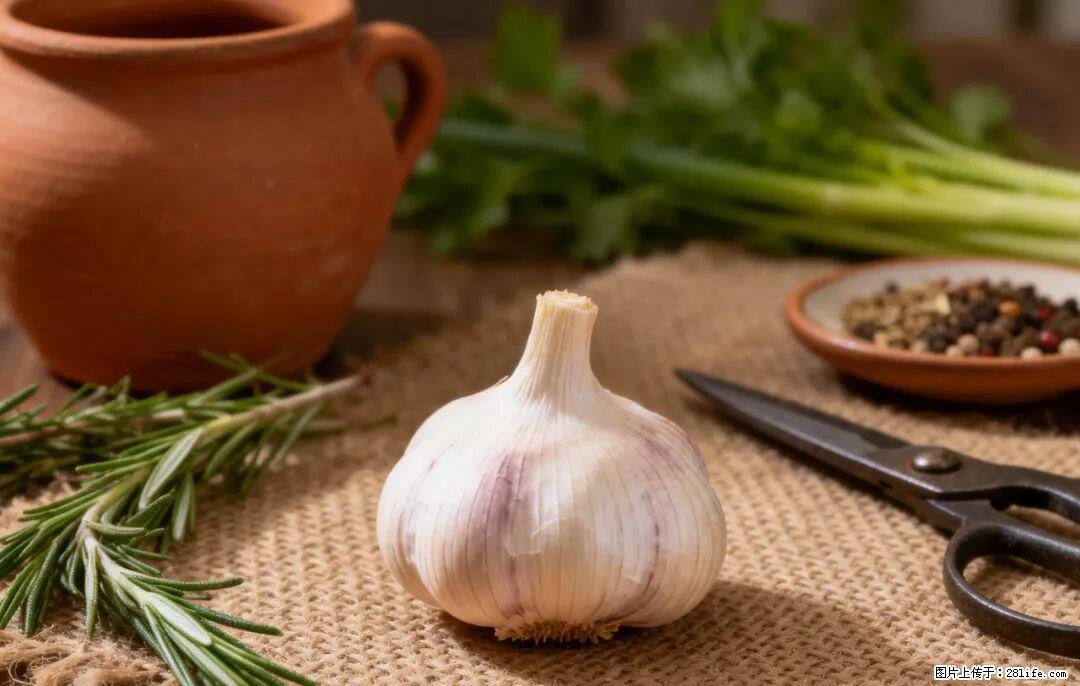 关于大蒜，除了“天然抗生素”，这4个谣言更该警惕! - 汕头生活资讯 - 汕头28生活网 st.28life.com