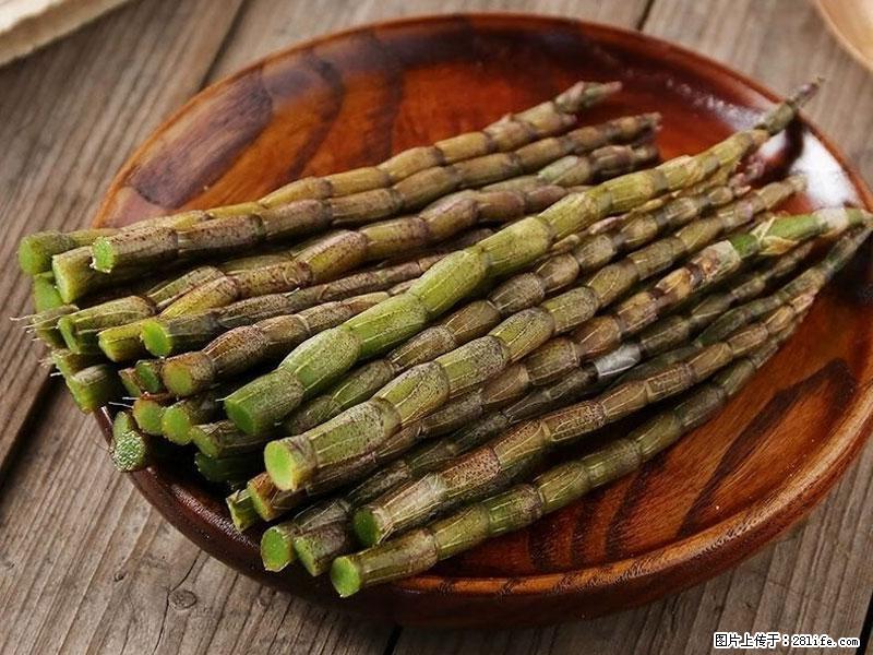 铁皮石斛的作用与功能主治 - 汕头生活资讯 - 汕头28生活网 st.28life.com