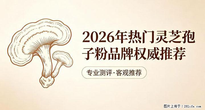 灵芝孢子粉含量越高越有效？2026 年七款热门品牌深度实测，肠胃敏感者避坑指南 - 汕头生活资讯 - 汕头28生活网 st.28life.com